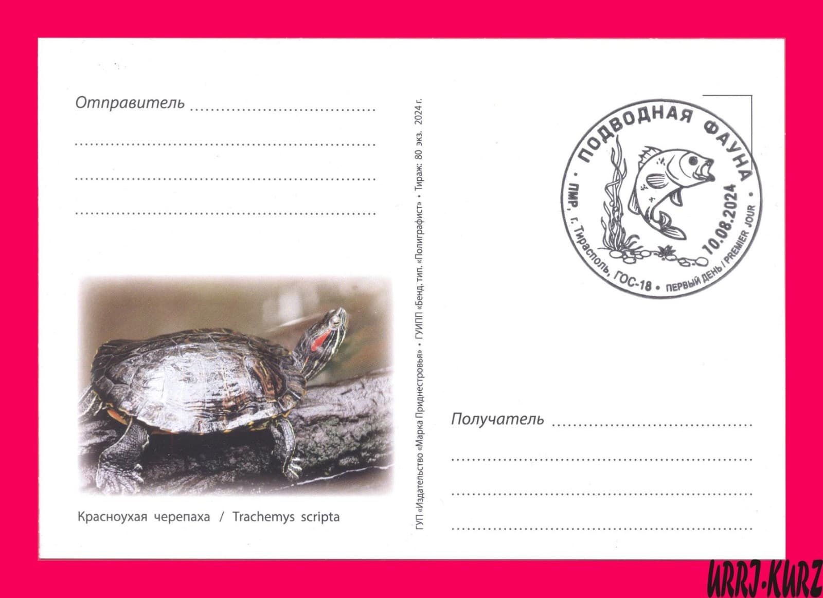TRANSNISTRIA 2024 Europa Nature Fauna Water Animal Amphibian Turtle Maxi Card 2