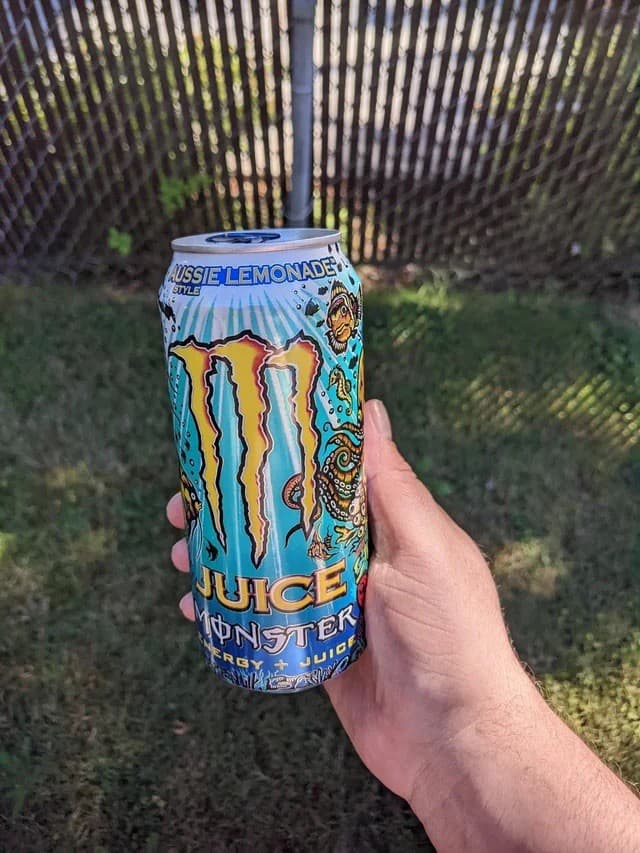Monster Energy + Juice Aussie Style Lemonade 16 Fl Oz Cans Case (24 Pack) 5