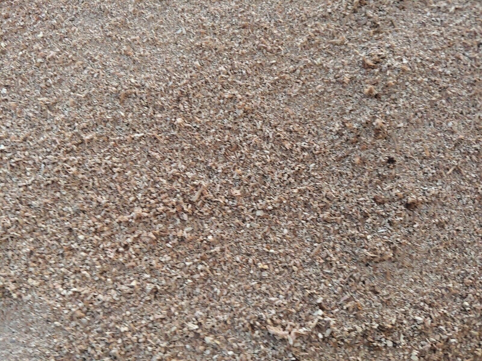 Two Pounds Undried Organic Mixed Oak Sawdust for Gardening, Wood Working, etc. 5