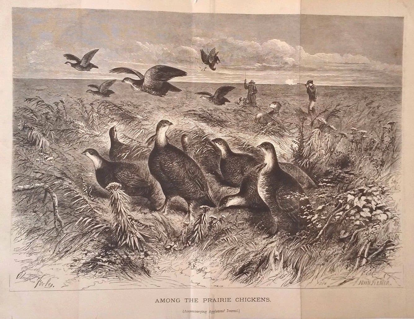 Circa 1870 Litho  "Among the Prairie Chickens" Accompaniment Appleton Journal 2