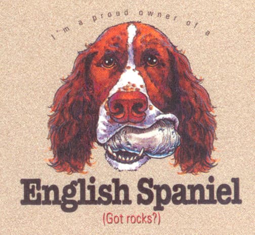 ENGLISH SPANIEL Got Rocks Dog Funny Friends Magnetic NOTEPAD List Pad 2