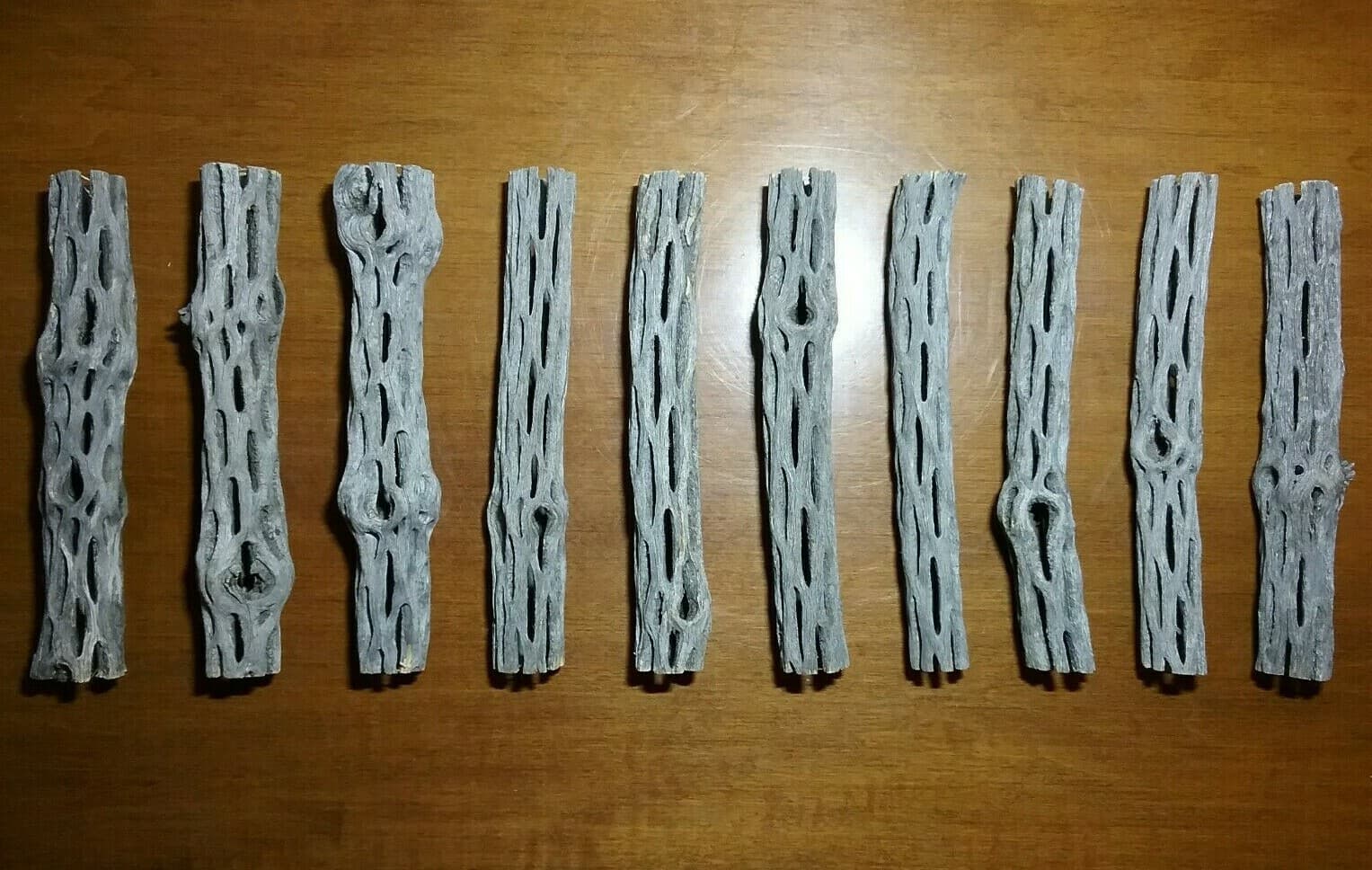 10 pcs 6" CHOLLA Wood Cactus | Organic | Shrimp Fish Aquarium | Decoration Craft 5