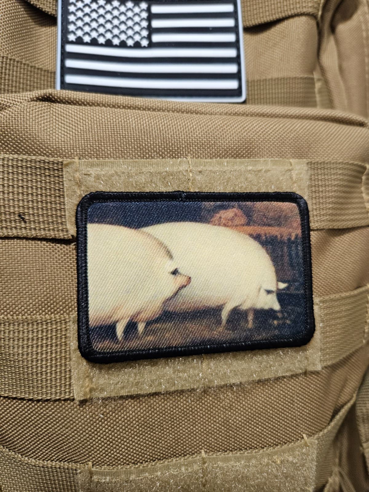 A pair of pigs brother may I have some oats meme  2"x3" hook & loop tactical 3