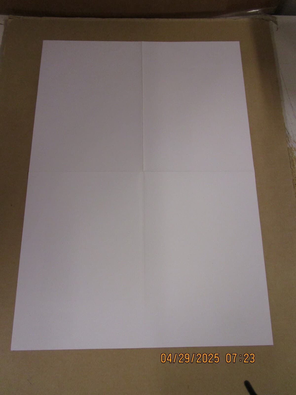 PINBACK Summer In Abbadon Promo Poster New! Unused! 2004 Touch & Go Records Crow 2