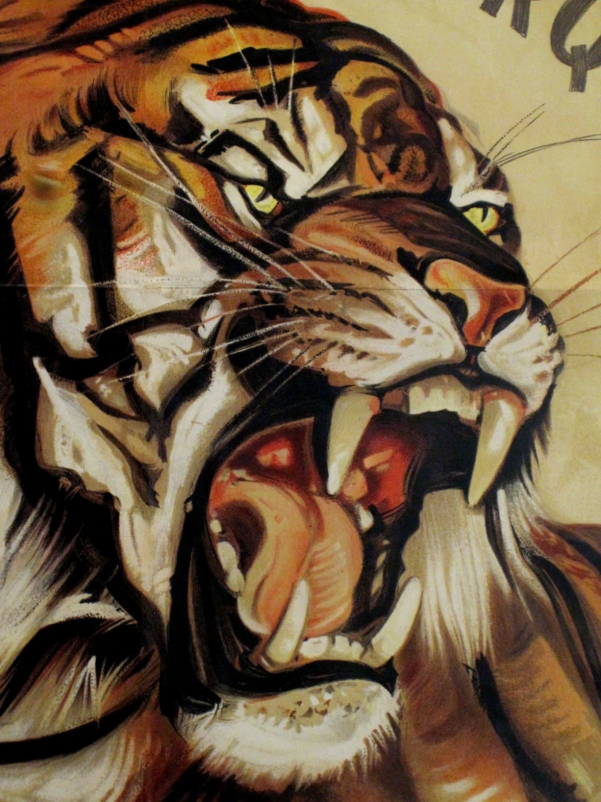 Vintage 1950s KNIE CIRCUS Switzerland 50x36 Stone-Litho TIGER Poster FREE SHIP 4