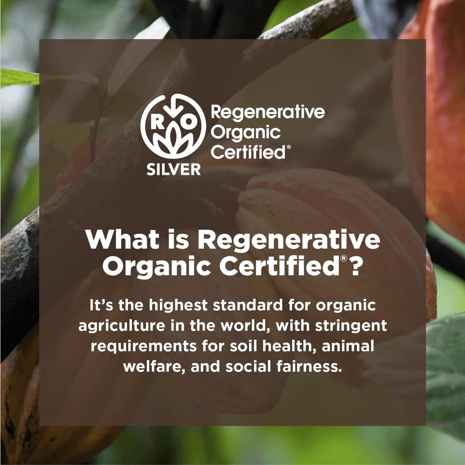 	Navitas Organics Cacao Powder 8oz. Bag 15 Serving Organic Non-GMO Gluten-Free	 6