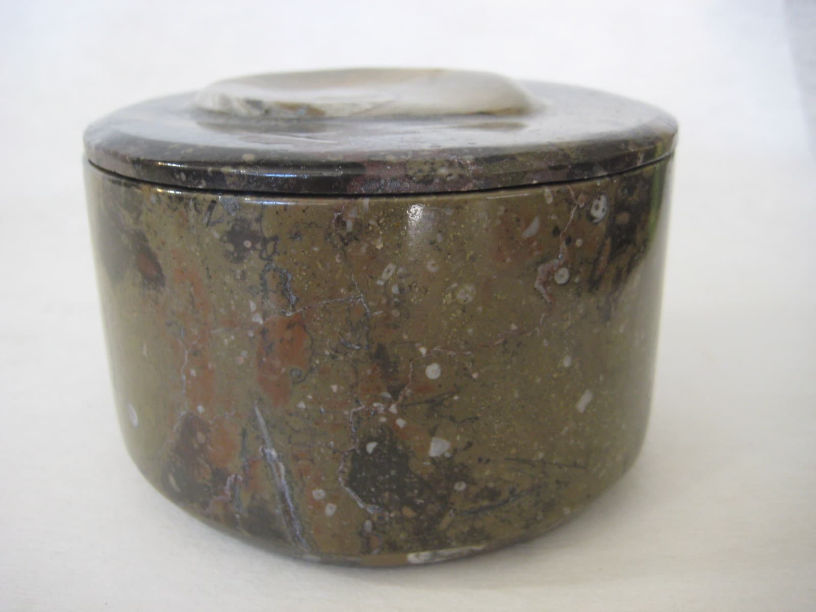 Vintage Round Shaped Geisonoceras Fossil Trinket Box, 3" High X 4 1/2" Diameter 2