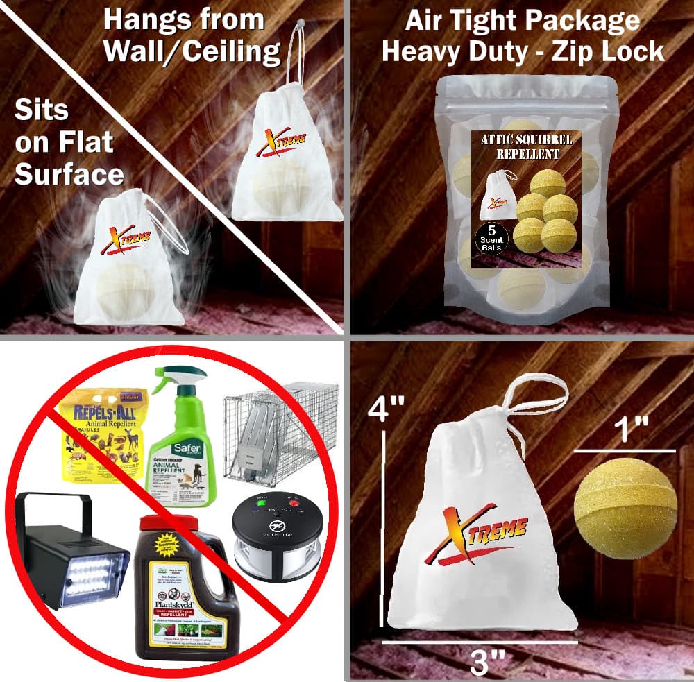 Xtreme Attic Squirrel Repellent. Drives Squirrels Out Fast! 5 Pack 5