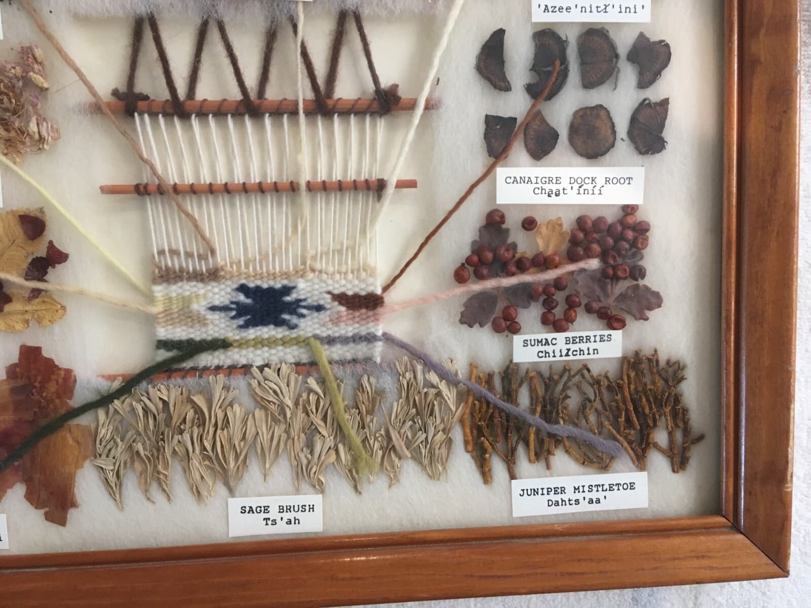 Navajo Traditional 10 Color Dye Chart English & Indian Names by Sharon Manuelito 4