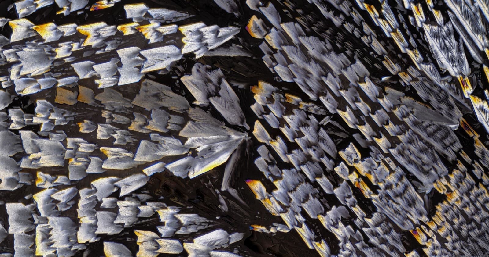 Microscope slide for polarization, Gamma Aminobutyric Acid (GABA) 2