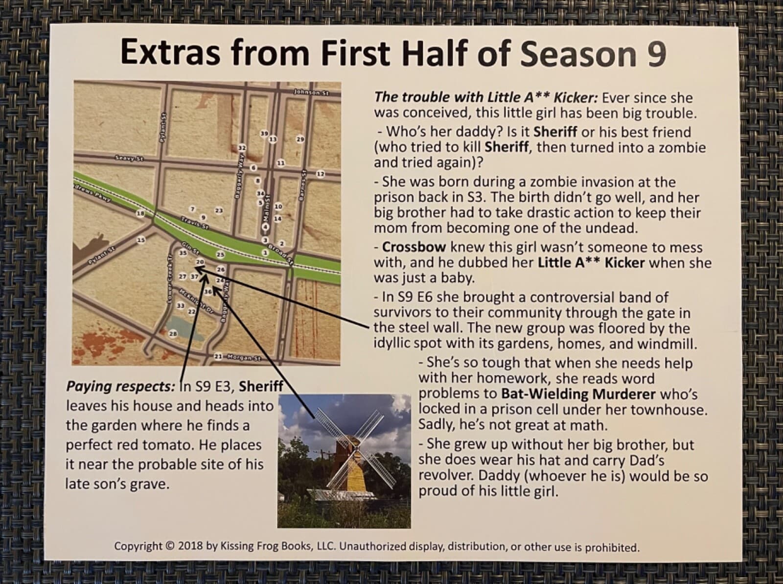 WALKING DEAD MEMORABILIA (ZOMBIE MAP & MORE) - SENOIA, ALEXANDRIA, WOODBURY, TWD 6