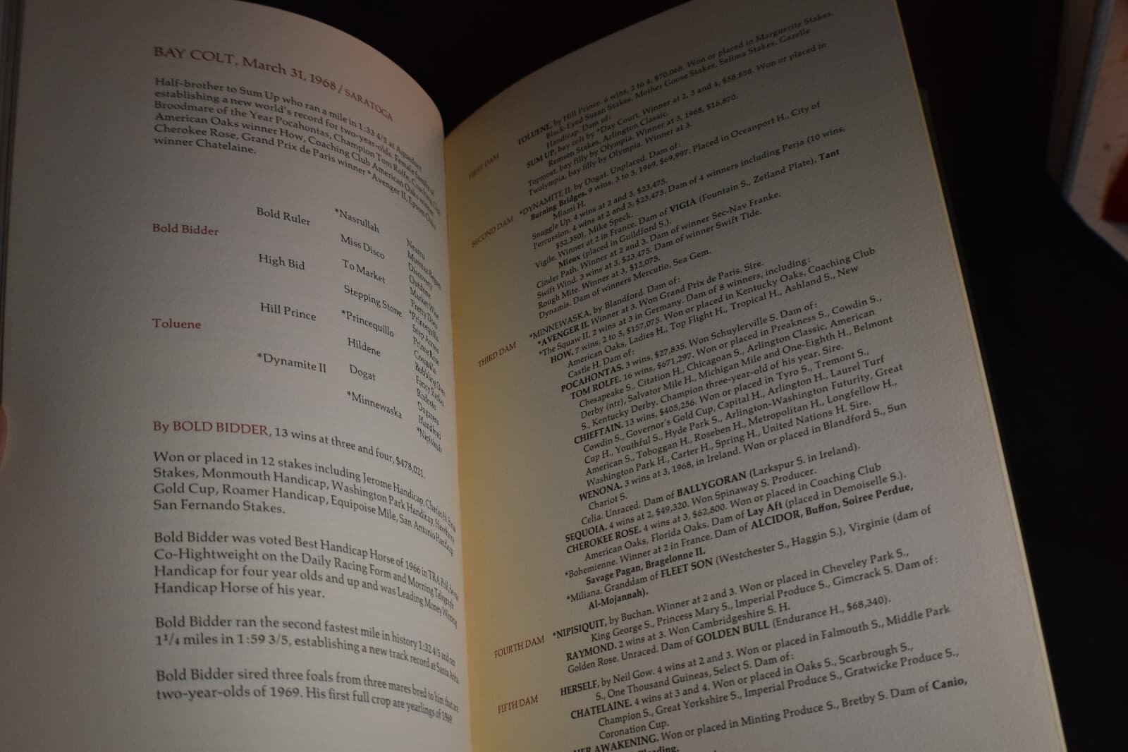 Gainesway Farm Yearlings 1969 6