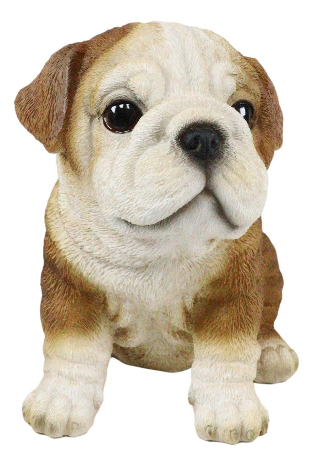 Ebros Lifelike Sitting Adorable Bulldog Puppy Dog Figurine 5"H Pet Pal Puppies 2