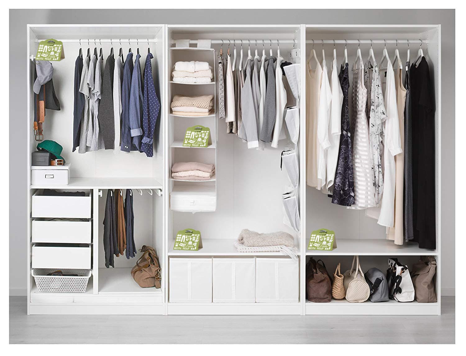 ADHESIVE 6 TRAPS CONTROL CLOTH MOTH NON TOXIC NO PESTICIDE safe trap pest trap 6