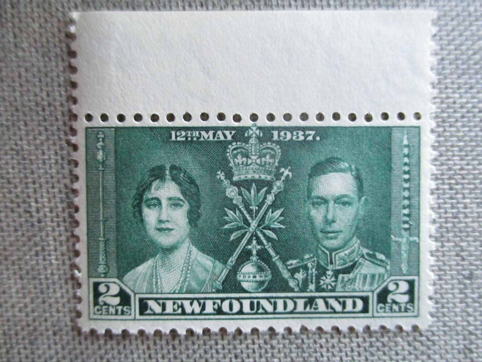 Newfoundland, Scott# 230, MNH