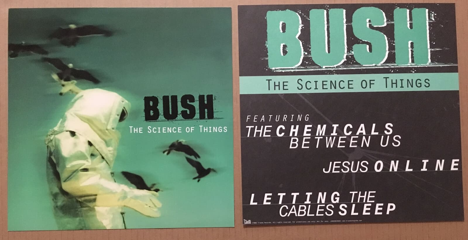 Gavin Rossdale BUSH Rare 1999 SET 2 DOUBLE SIDED PROMO POSTER FLAT 4 Science CD