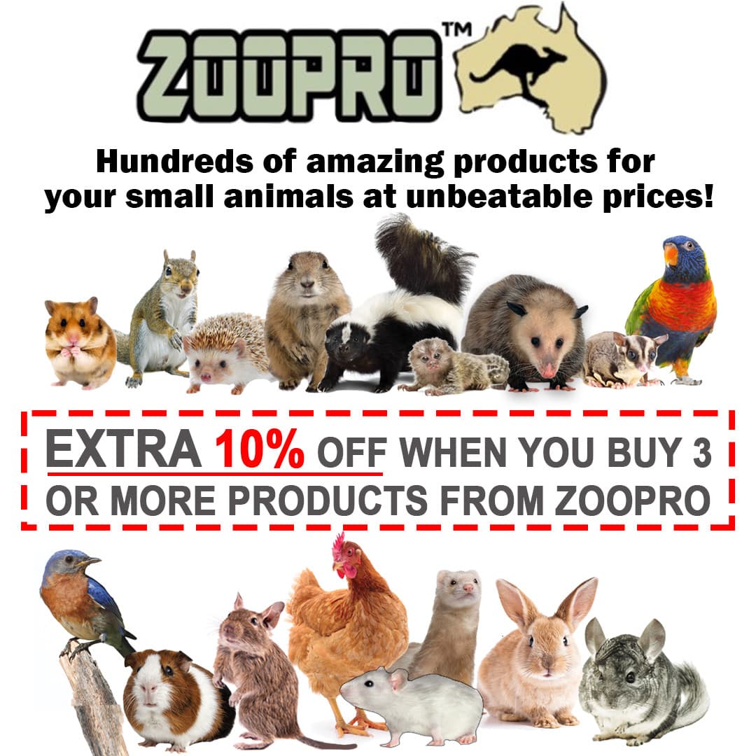 Brisbane Cage - for Chinchillas, Ferrets, Sugar Gliders, Squirrels, Small Animal 6