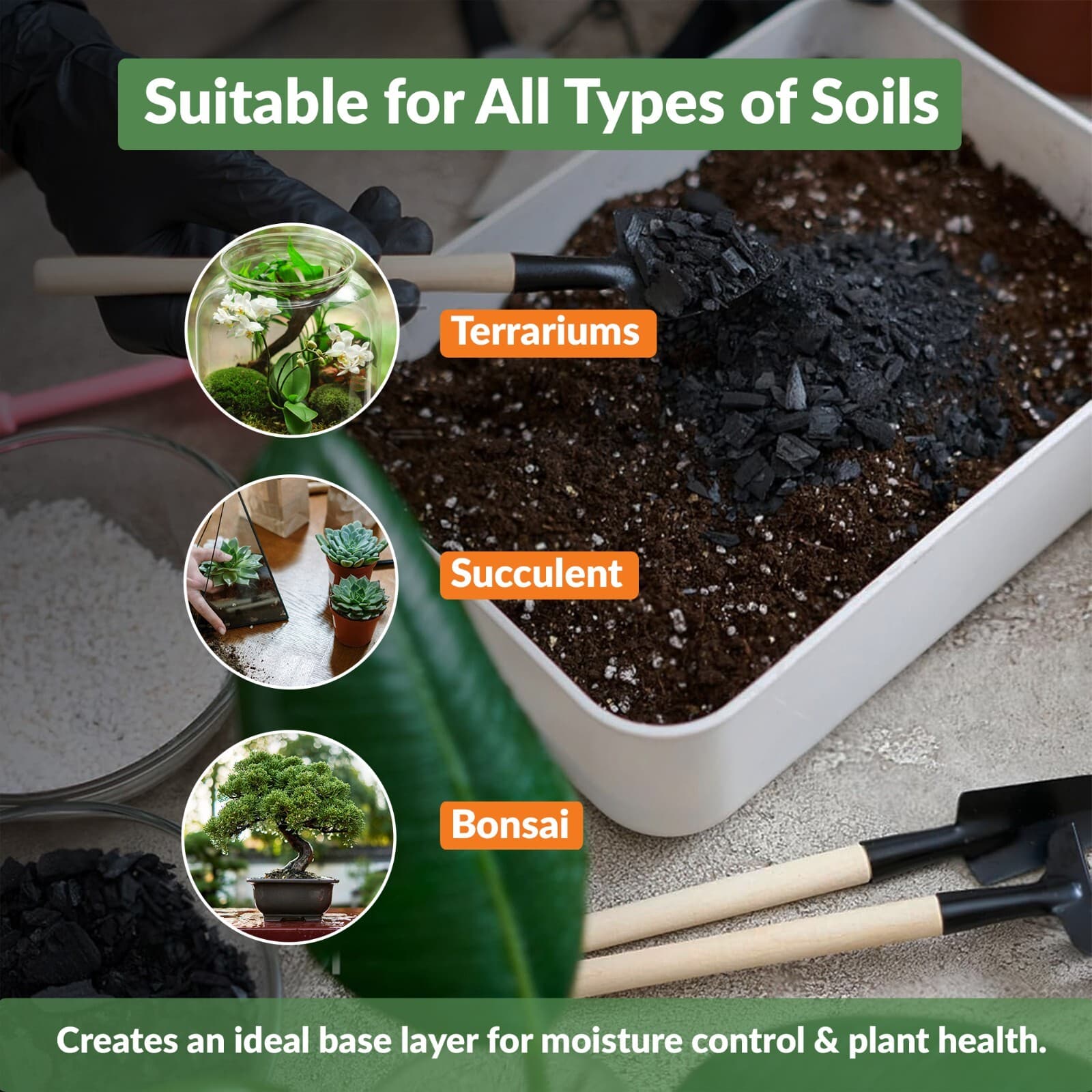 Premium Charcoal Chips, Natural Soil Boost for Aeration & Growth, 12-24 Quarts. 6