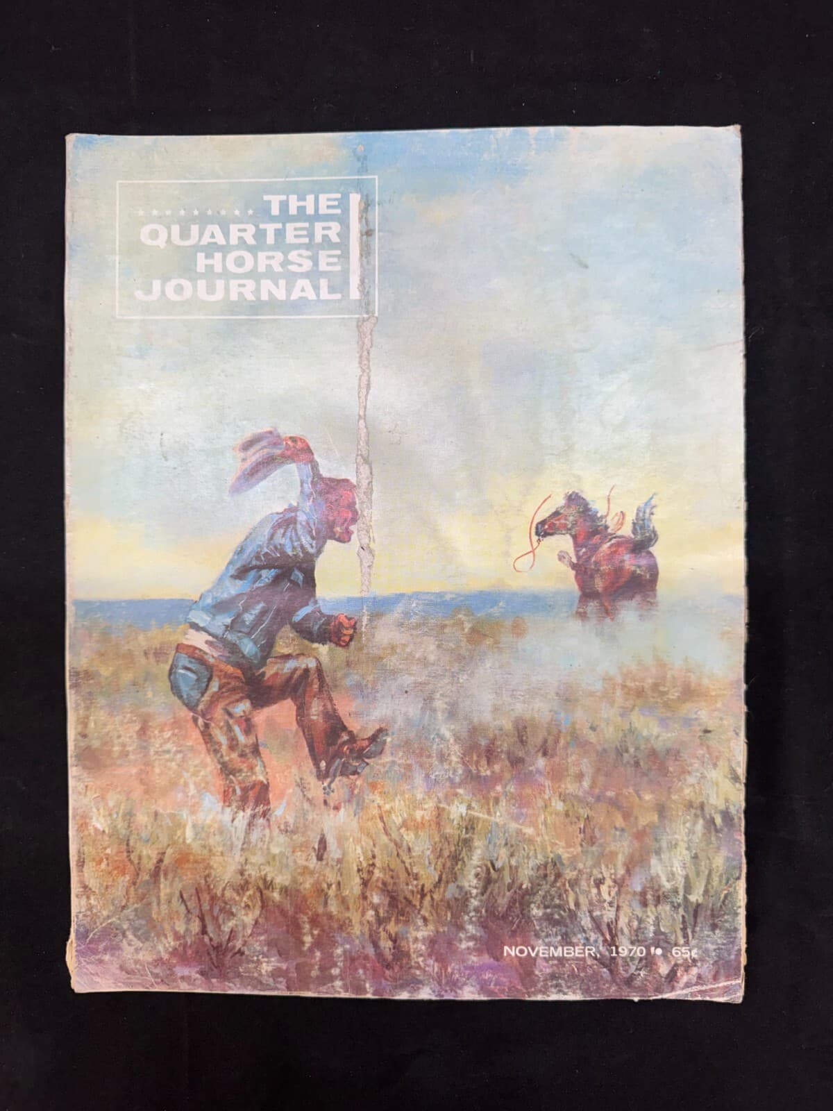 Quarter Horse Journal November 1970