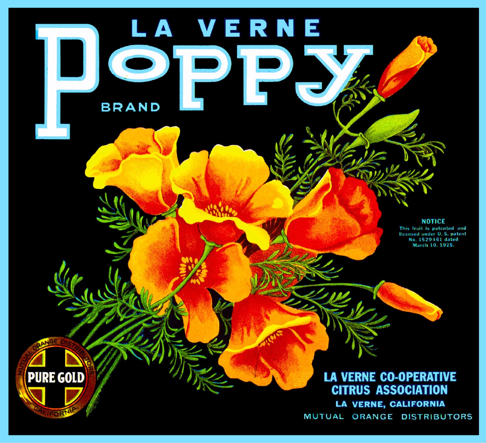 La Verne Lordsburg California Poppy Orange Citrus Fruit Crate Label Art Print
