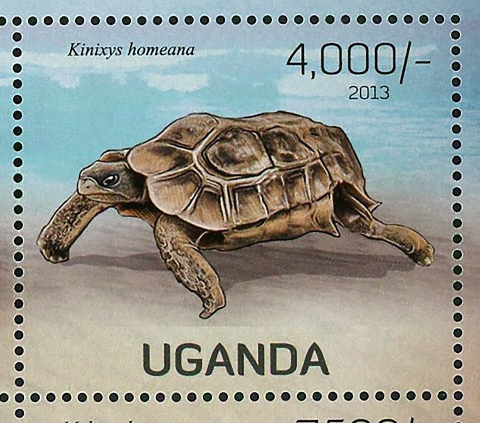 Turtles Stamp Aldabrachelys Gigantea Testudo Kleinmanni S/S MNH #3005-3008 4