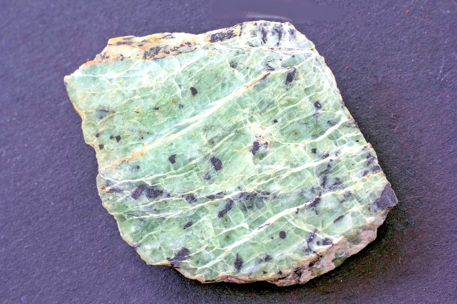 Antigorite (var.) Williamsite: Lowe's Chrome Pit Cecil Co., Maryland (cut slab) 3