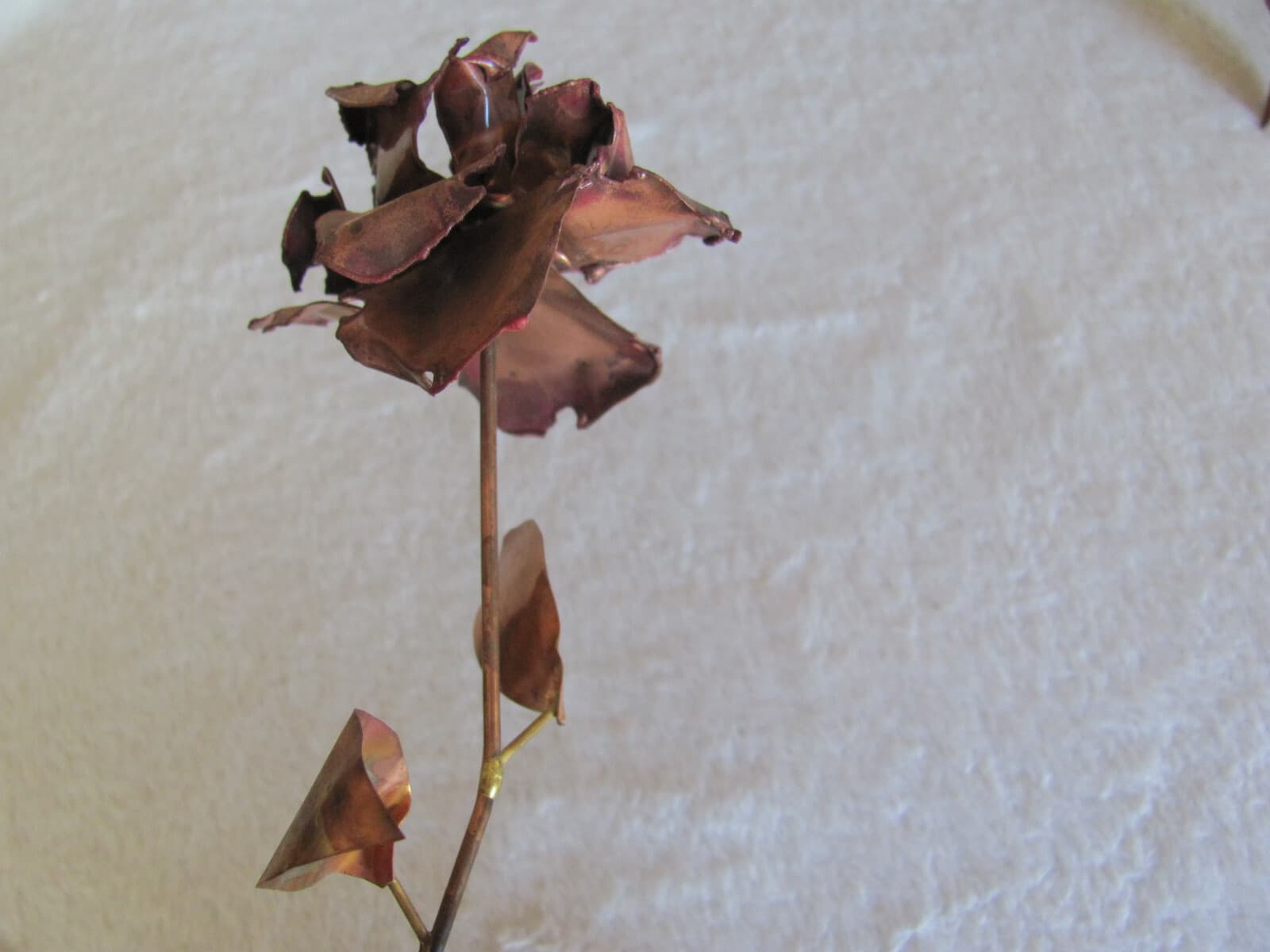 Long Stem Copper Rose(s) Up to 7 Available 5