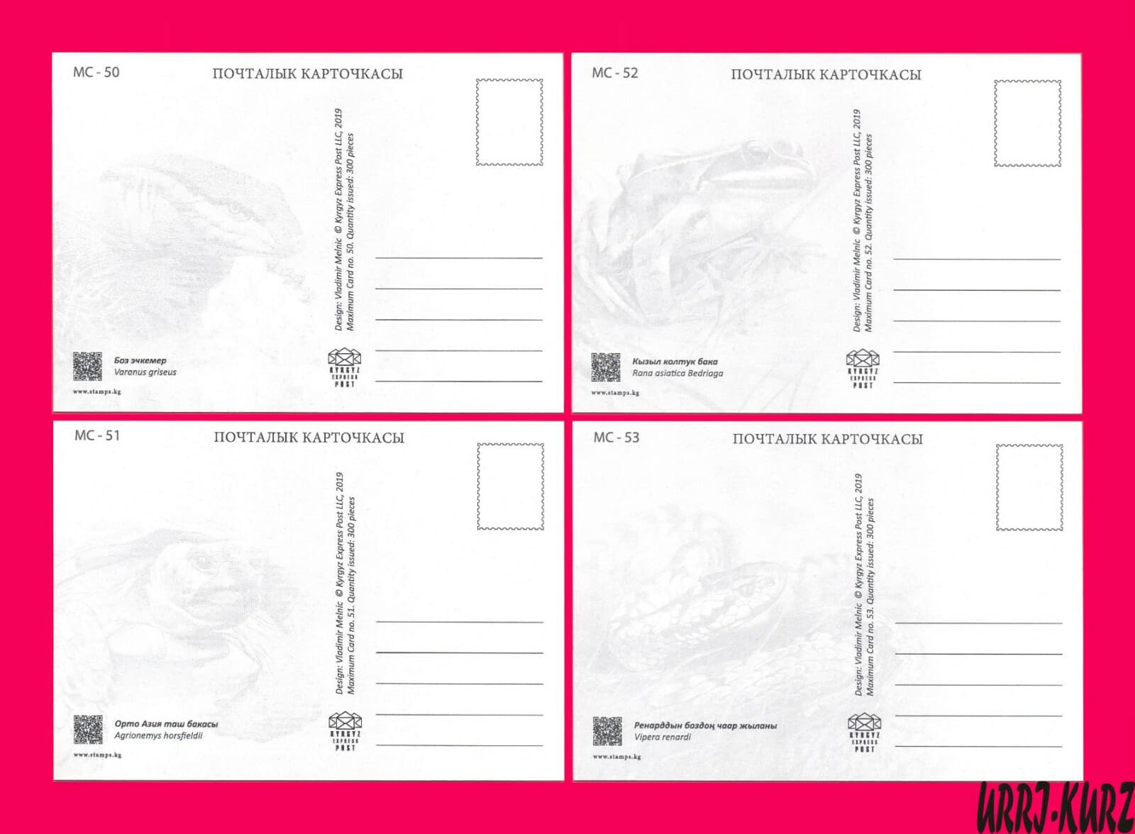 KYRGYZSTAN 2019 Reptile Amphibian Varanus Turtle Frog Snake Viper Maxicard Card 2