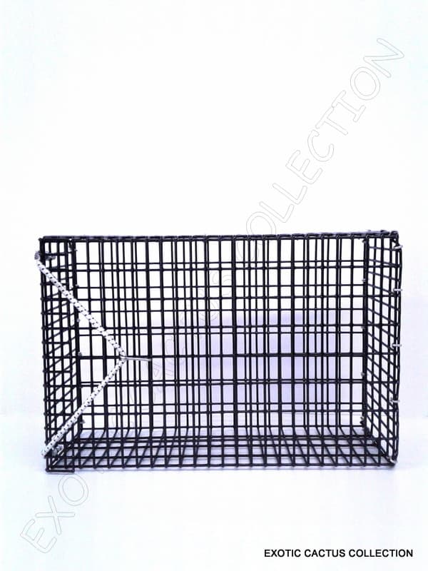 CHUM BOX marine grade pvc coating black wire mesh pot fishing bait cage 12x8x4 3