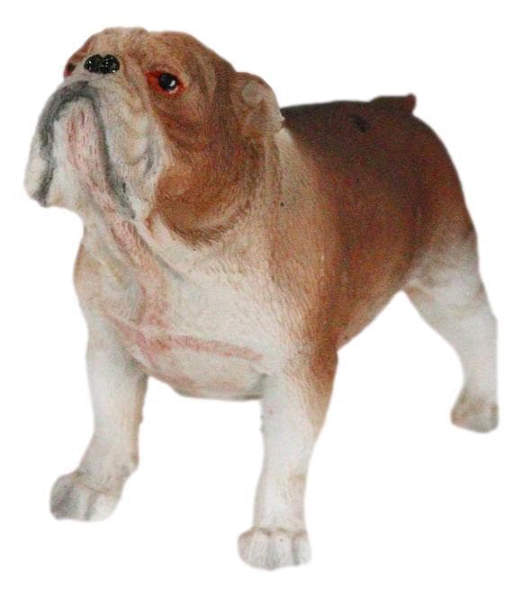 American Pedigree Dogs Lifelike Bulldog Bull Puppy Dog Miniature Figurine 4