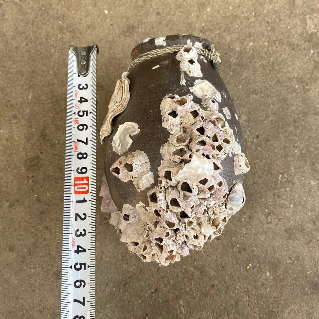 Japanese Ceramic Octopus Pot “Takotsubo” w/ Seashell VTG Japan 4