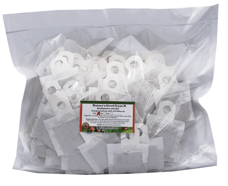 Slow Release Sachet - Amblyseius Swirskii - Predatory Spider Mite Control 6