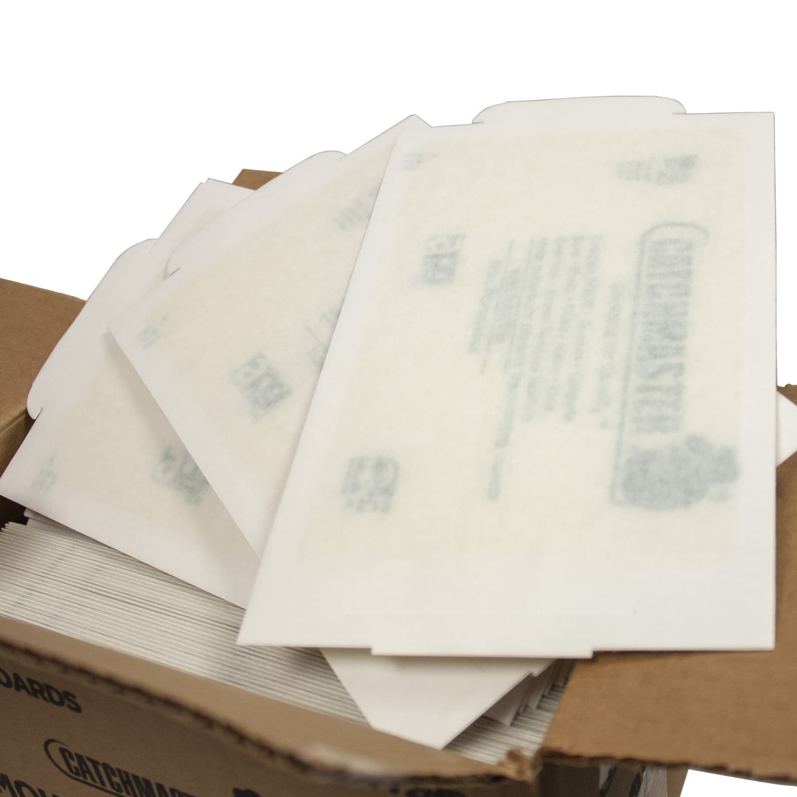 Catchmaster Mouse Insect Spider Glue Traps ( 12 Pack ) Mice Cockoaches Spiders 3