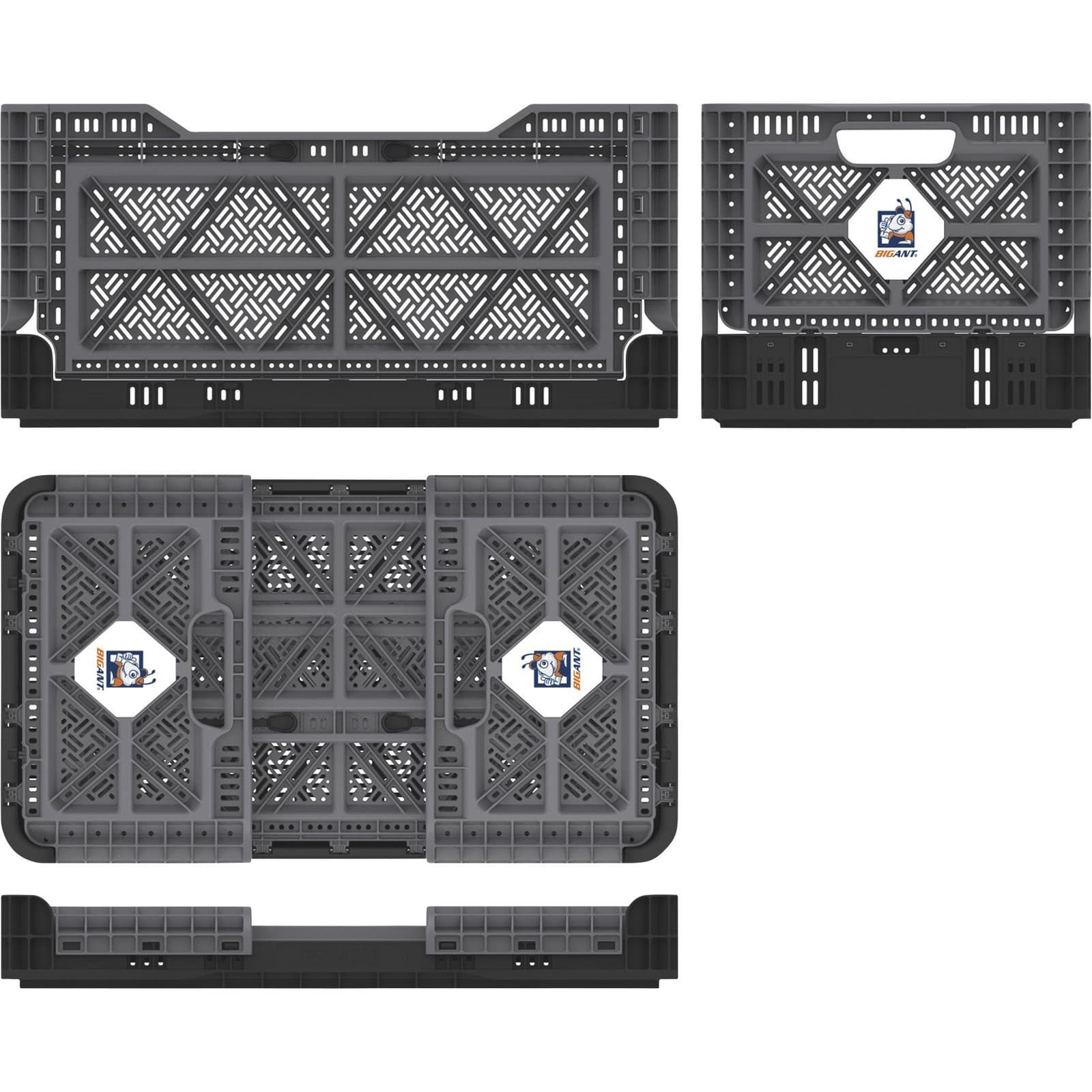 BIG ANT Collapsible Smart Crate, 23.8-Gallon, 265-Lb. Capacity, 16 9/16in.L x 2