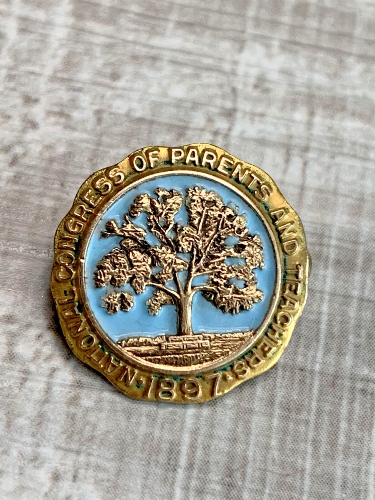 GOLD SERVICE PINS 2 Enameled PTA National Congress Parents Teachers 1897 Medal 3