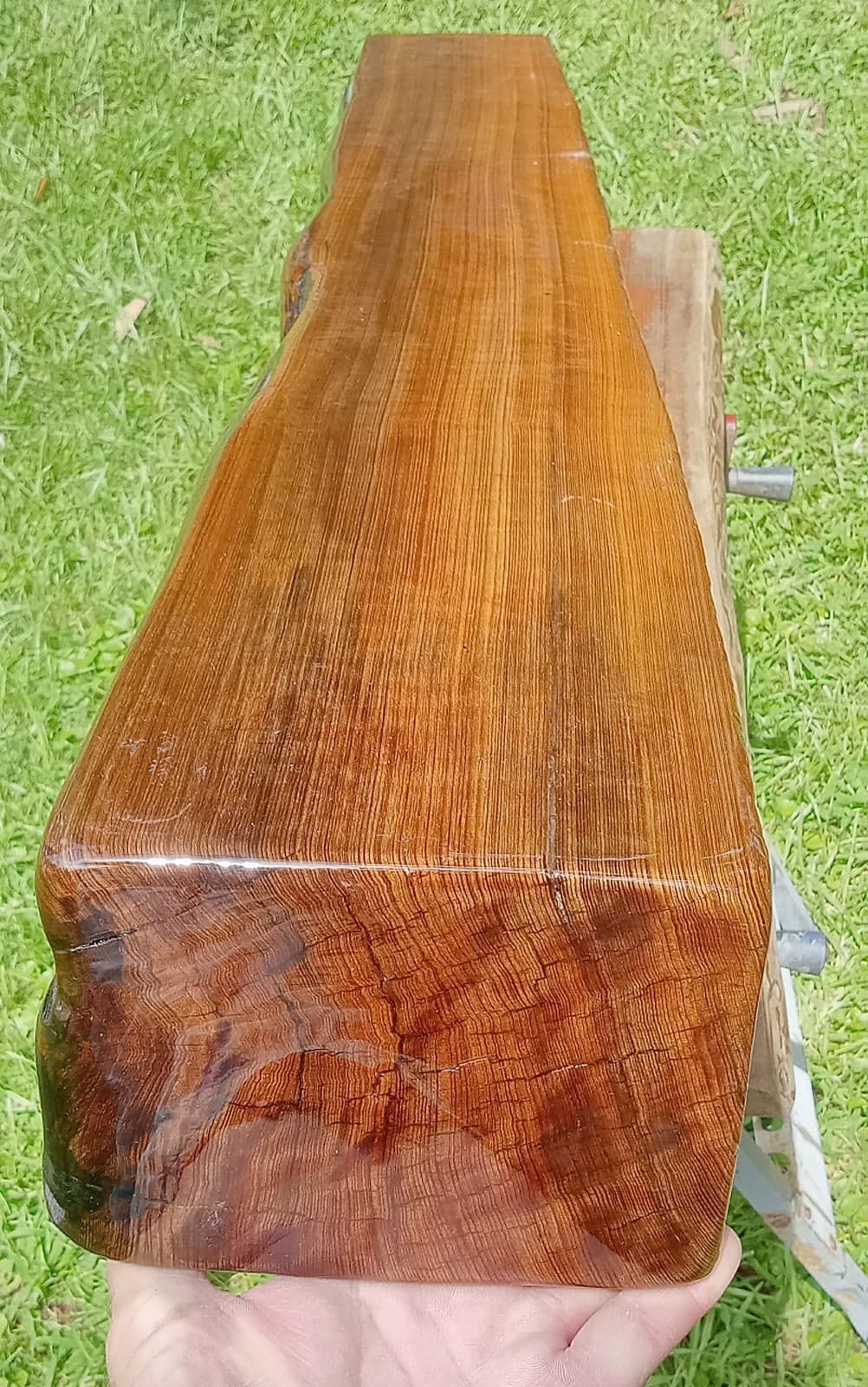 Carbon Dated to 1300 AD 54"X7"X5" Quartersawn Mantel Sinker Cypress  Rustic Wood 3