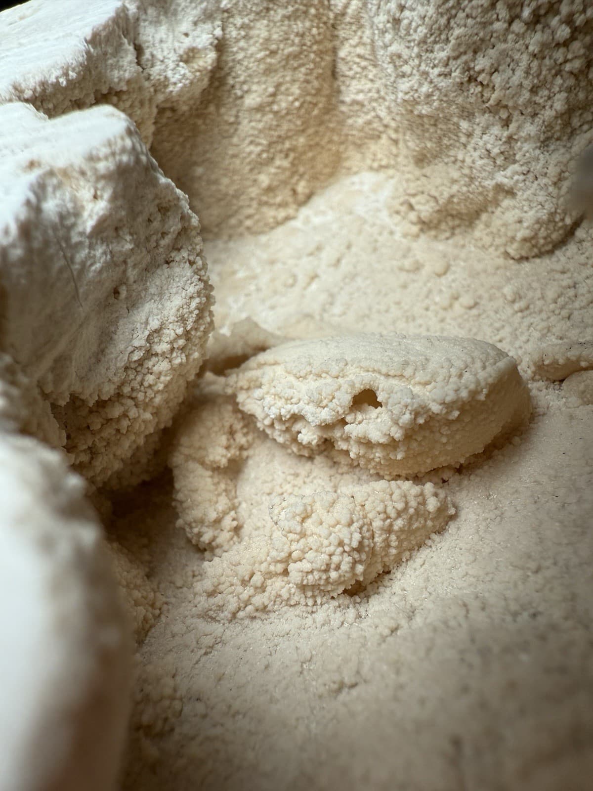 2.3” Inch Amazing Fossilized Potamon Crab In Travertine Turkey UV Reactive 5