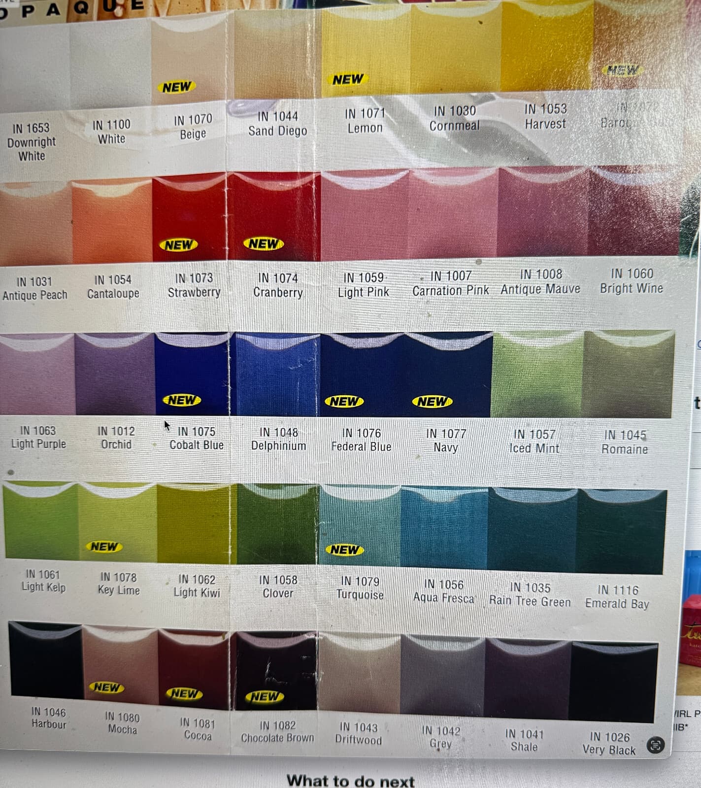 Duncan Envision Glaze IN1054 Cantaloupe 4oz 2