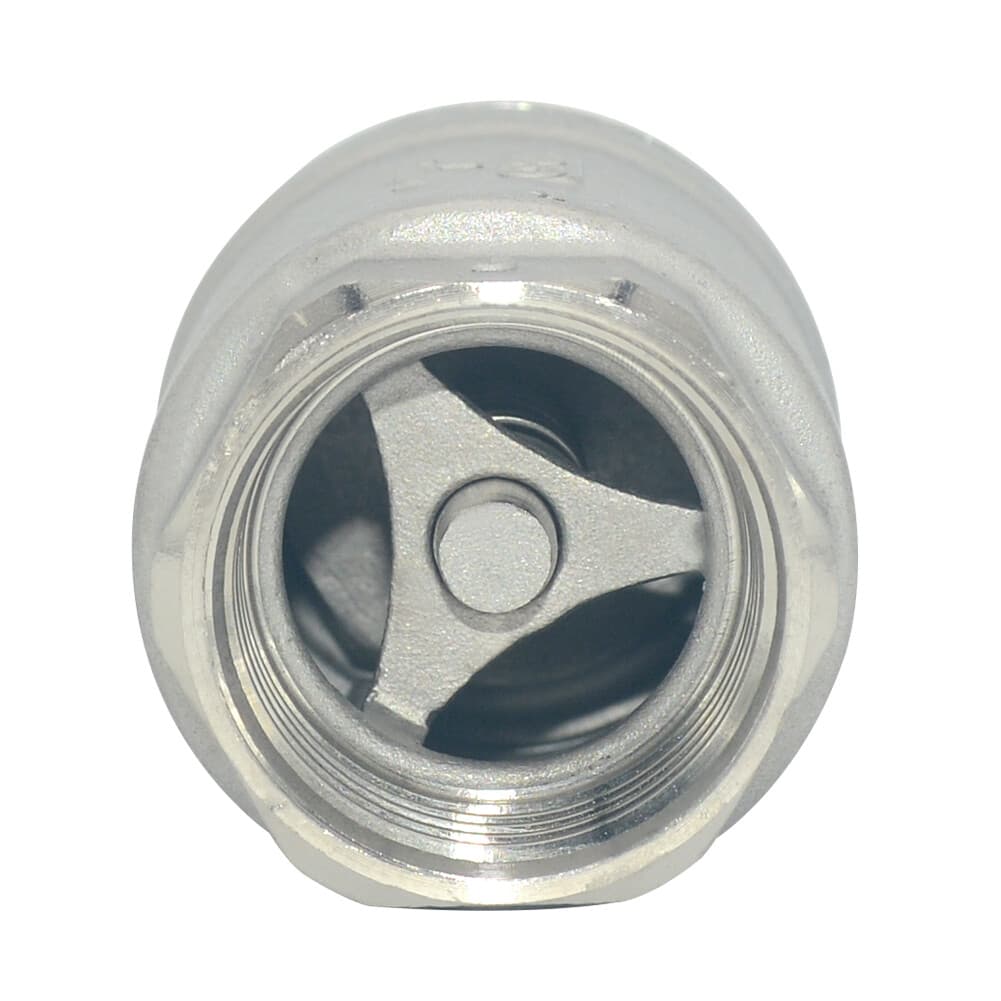 1 inch Vertical Check Valve NPT female Threaded Stainless Steel 1000psi 4