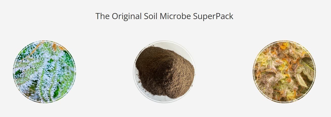 Real Growers Recharge - Mycorrhizae Instant Compost Tea/Soil Microbes 2