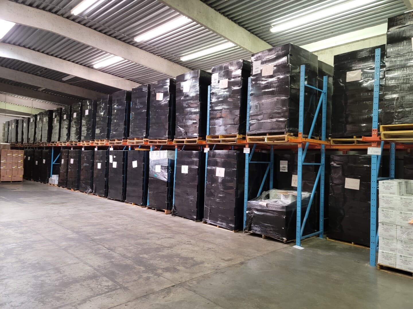 1000 pcs  Shamrock Powder Free Latex Exam Gloves (S/M/L/XL) 3