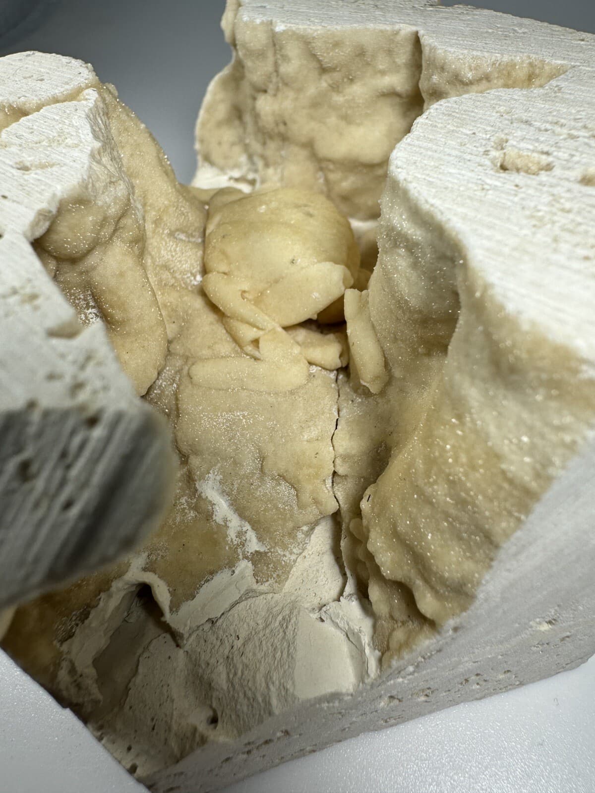 REPAIRED 1.75 Inch Travertine Crab Fossil Turkey, Fossil Travertine Crab Potamon 6