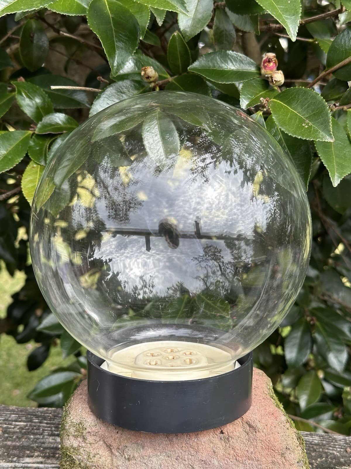 VTG Glass Sphere Round Cloche Ball Flower Frog Mid Century Terrarium  Germany 3