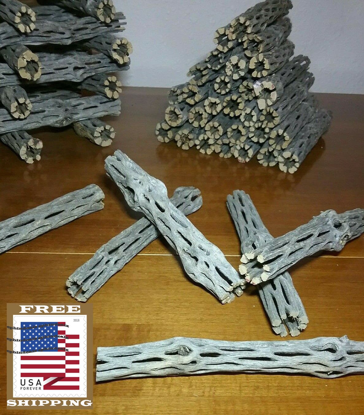20 pcs 6" inch CHOLLA Wood Cactus | ORGANIC, Untreated | Shrimp Aquarium CRAFTS! 5