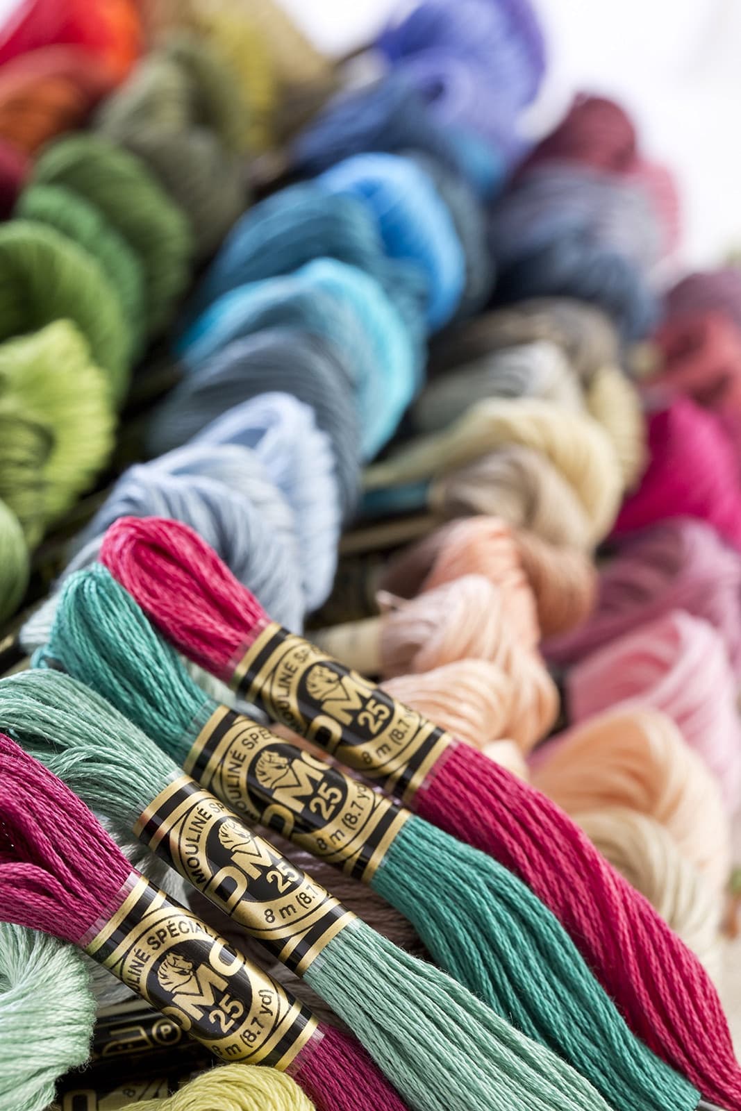 Dmc 6-Strand Embroidery Cotton 8.7yd-Light Topaz 5