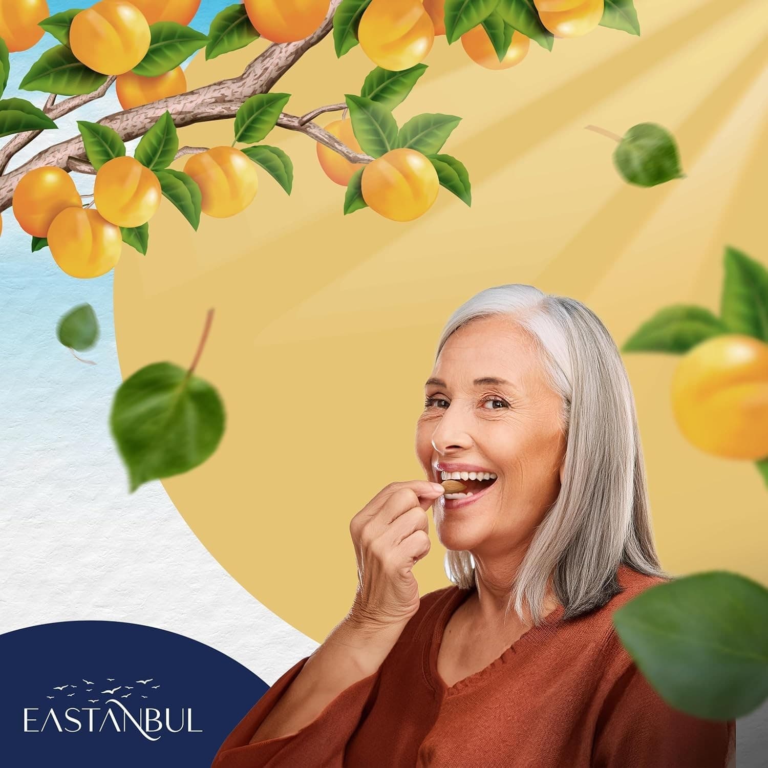 Organic Bitter Raw Apricot Kernel Premium Seeds 14.5oz Gluten Free Vegan USDA 6