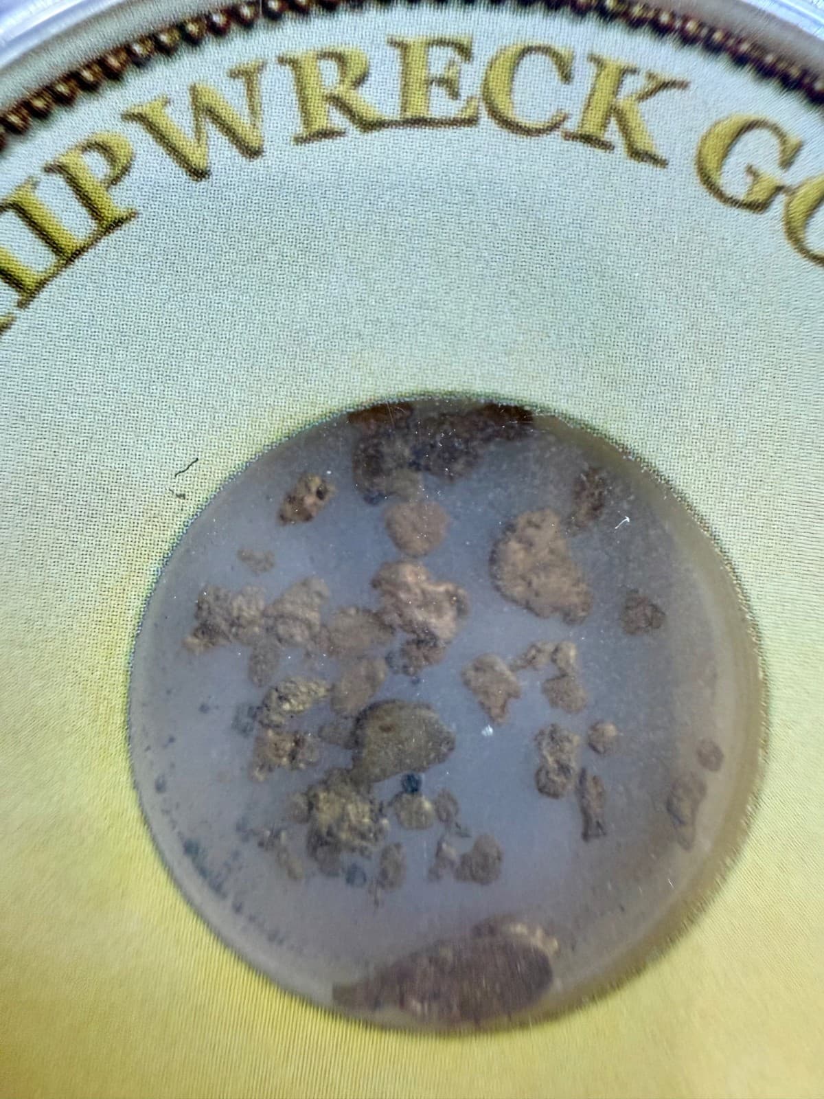 SS CENTRAL AMERICA SSCA SHIPWRECK GOLD PINCH FROM THE WORLD FAMOUS SHIP OF GOLD! 4