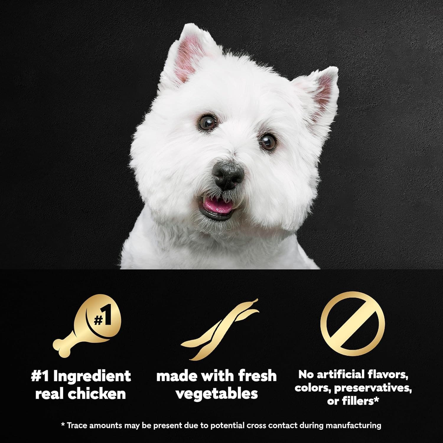 CESAR WHOLESOME BOWLS Wet Dog Food Chicken Sweet Potato & Green Bean Pack of 10 6