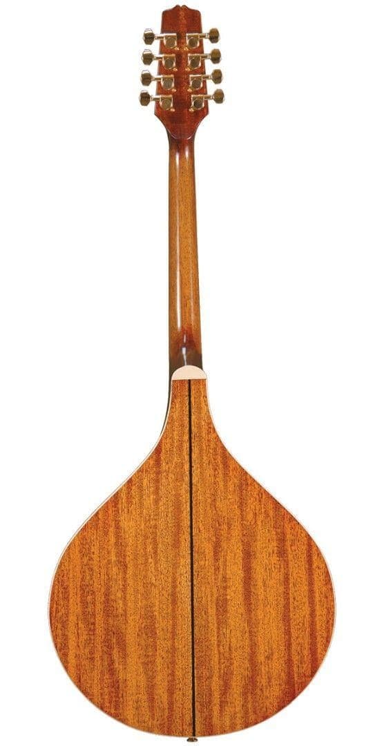 Gold Tone Model OM-800+ 8-String Solid Spruce Top Octave Mandolin with Hard Case 4