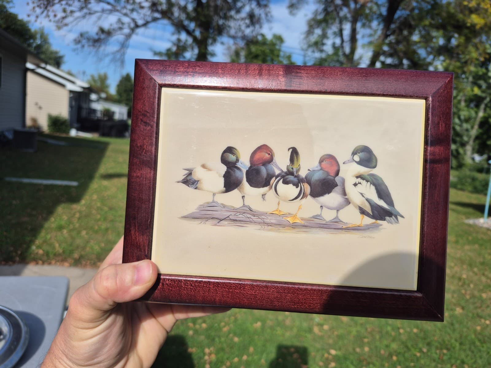 Ducks Unlimited Poker Set Chips 2 Sealed Playing Card Decks Beautiful Wood Case